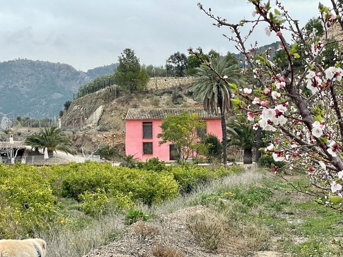 Casa Ramoncico. Finca El Campillo Blanca Εξωτερικό φωτογραφία