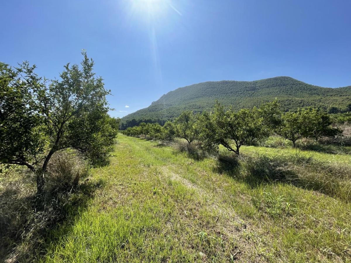 Casa Ramoncico. Finca El Campillo Blanca Εξωτερικό φωτογραφία