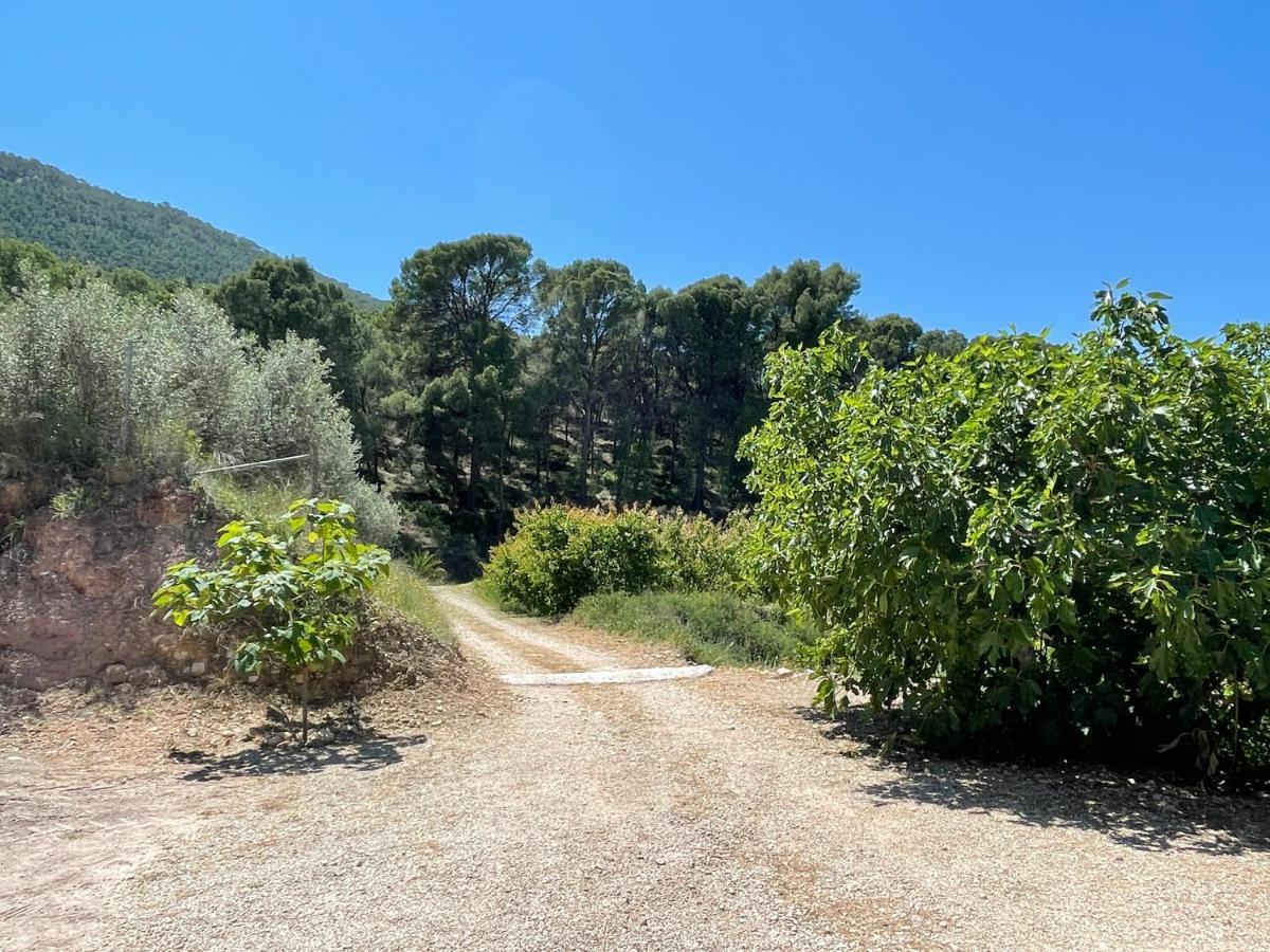 Casa Ramoncico. Finca El Campillo Blanca Εξωτερικό φωτογραφία