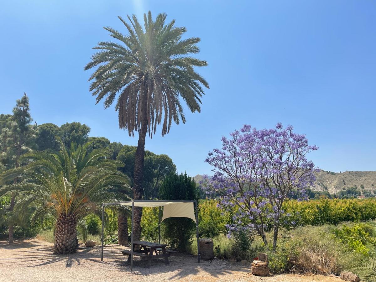 Casa Ramoncico. Finca El Campillo Blanca Εξωτερικό φωτογραφία