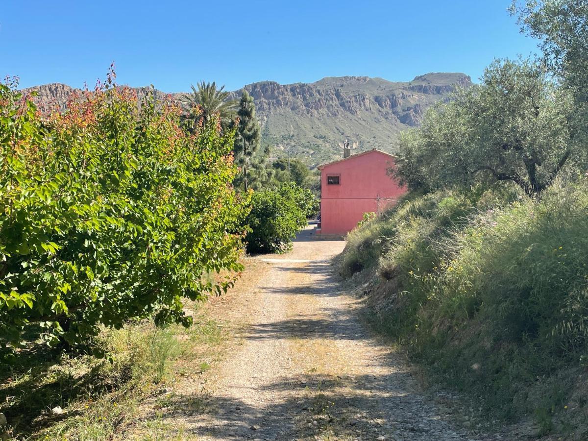 Casa Ramoncico. Finca El Campillo Blanca Εξωτερικό φωτογραφία