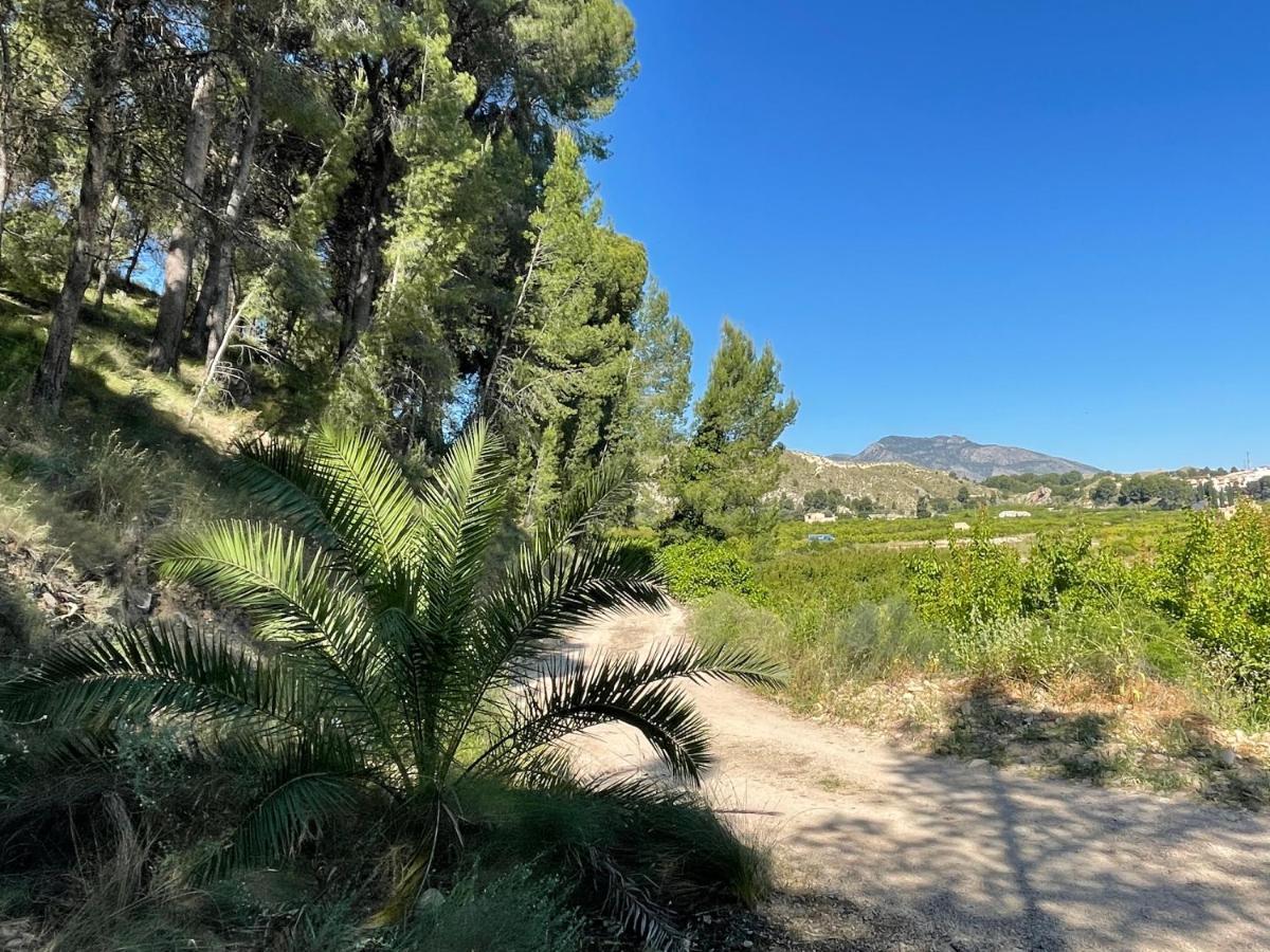 Casa Ramoncico. Finca El Campillo Blanca Εξωτερικό φωτογραφία